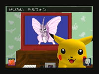 Venomoth